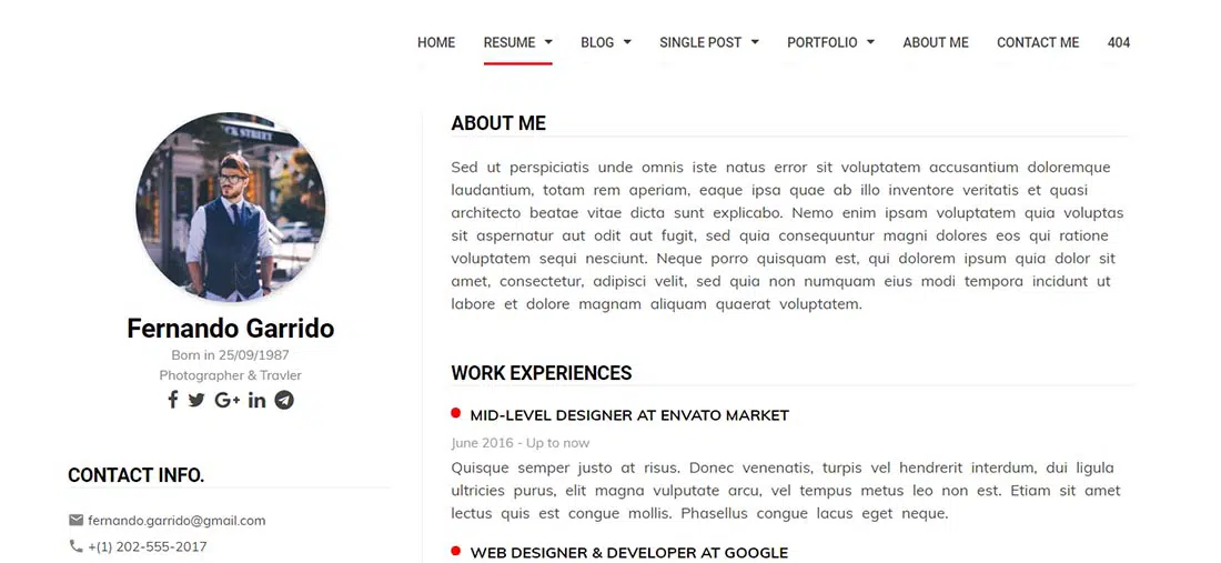 Flex - Resume Pribadi _ Blog _ Template Portofolio