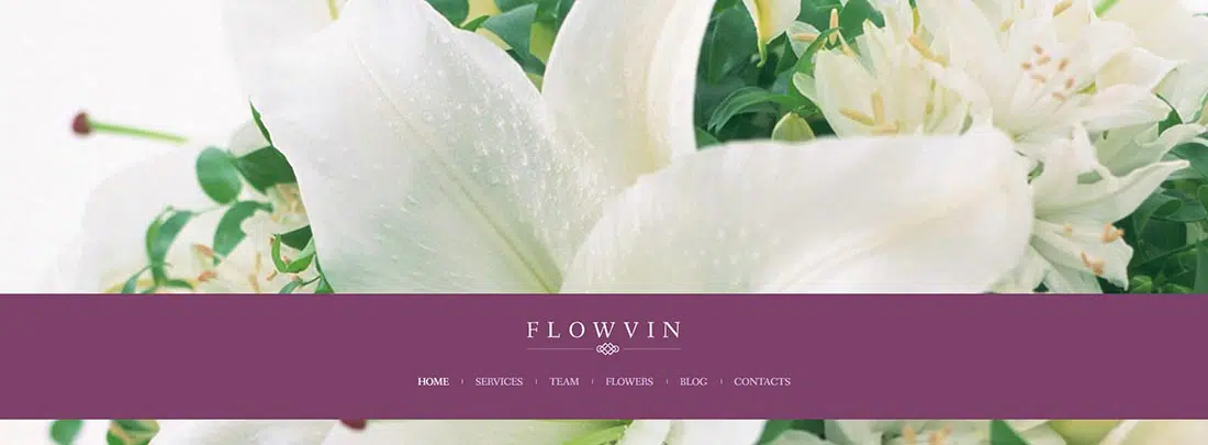 Awethemes _ Demo _ Flowvin Vintage WordPress 主題