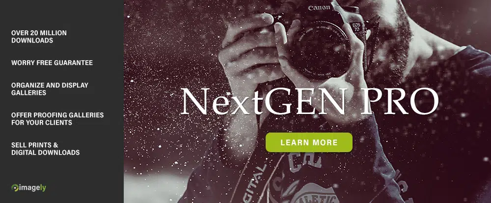 Plugin WP NextGen