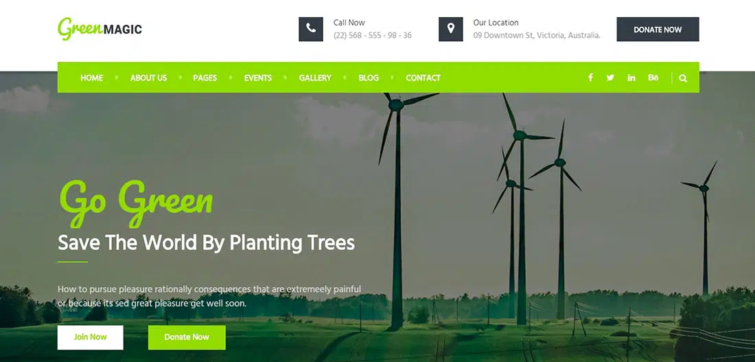 Green Magic Kar Amacı Gütmeyen Web Sitesi Şablonu