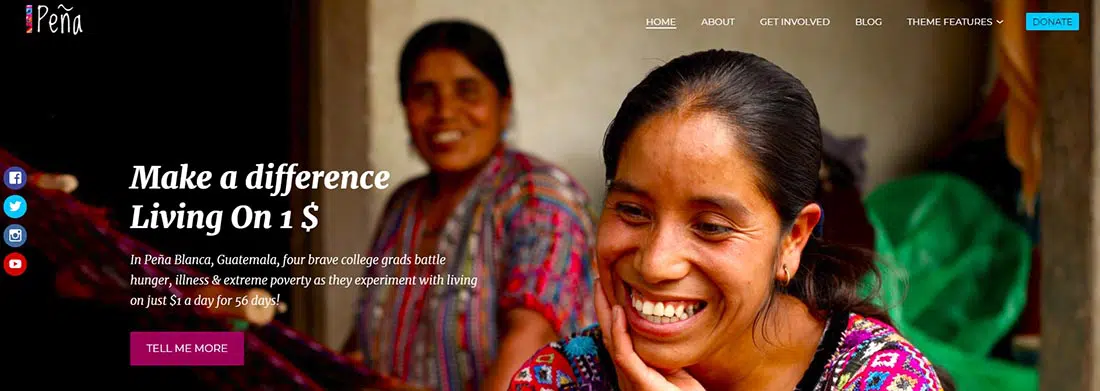 Pena - Non-Profit-WordPress-Thema