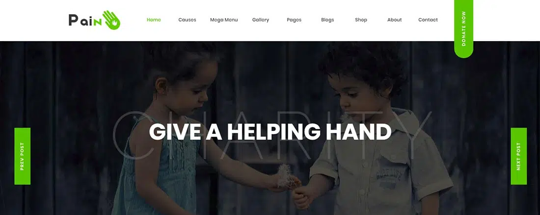 Pain - Non-Profit-WordPress-Thema