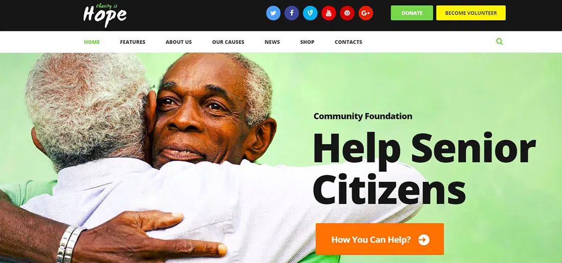 Hope Non-Profit-WordPress-Theme