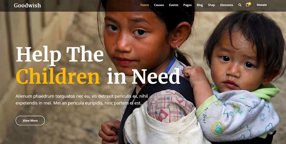 Tema WordPress nonprofit Goodwish