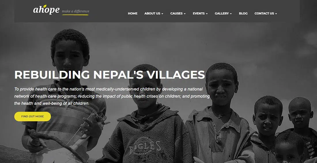 Tema WordPress pentru nonprofit Ninetheme