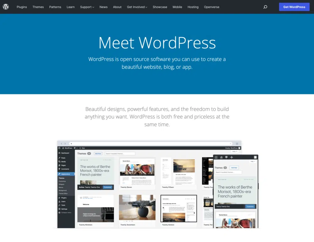 3. ภาพหน้าจอหน้าแรกของ WordPress.org