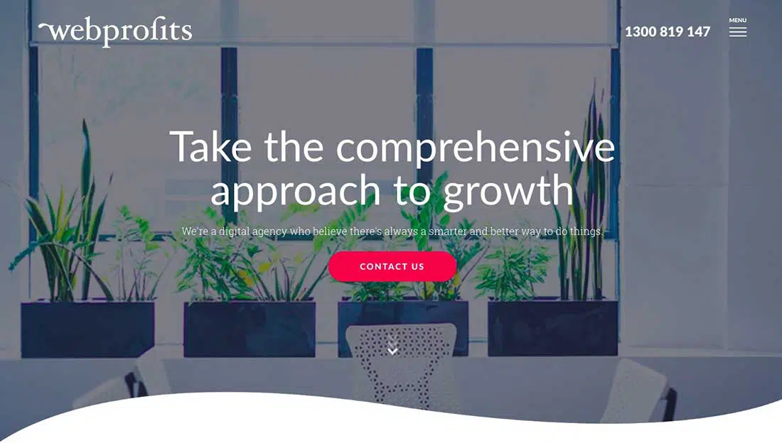 19 หน้า Landing Page ของ Webprofits