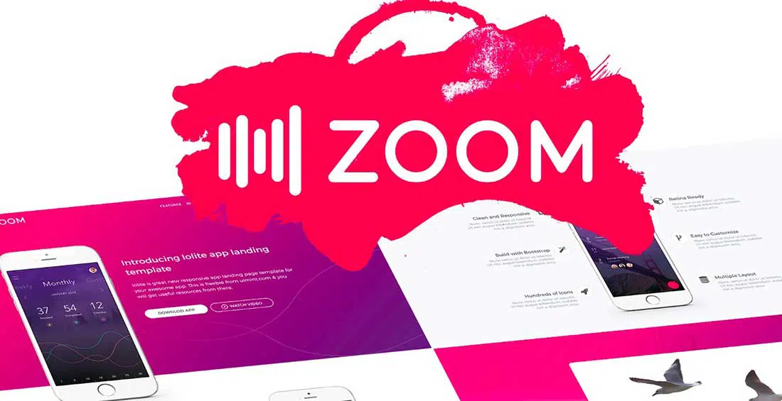 23 Kit d'interface utilisateur Zoom