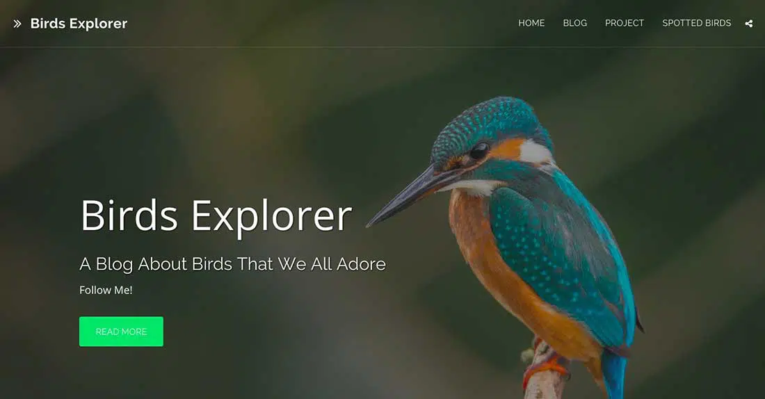 8 Oiseaux Explorateur