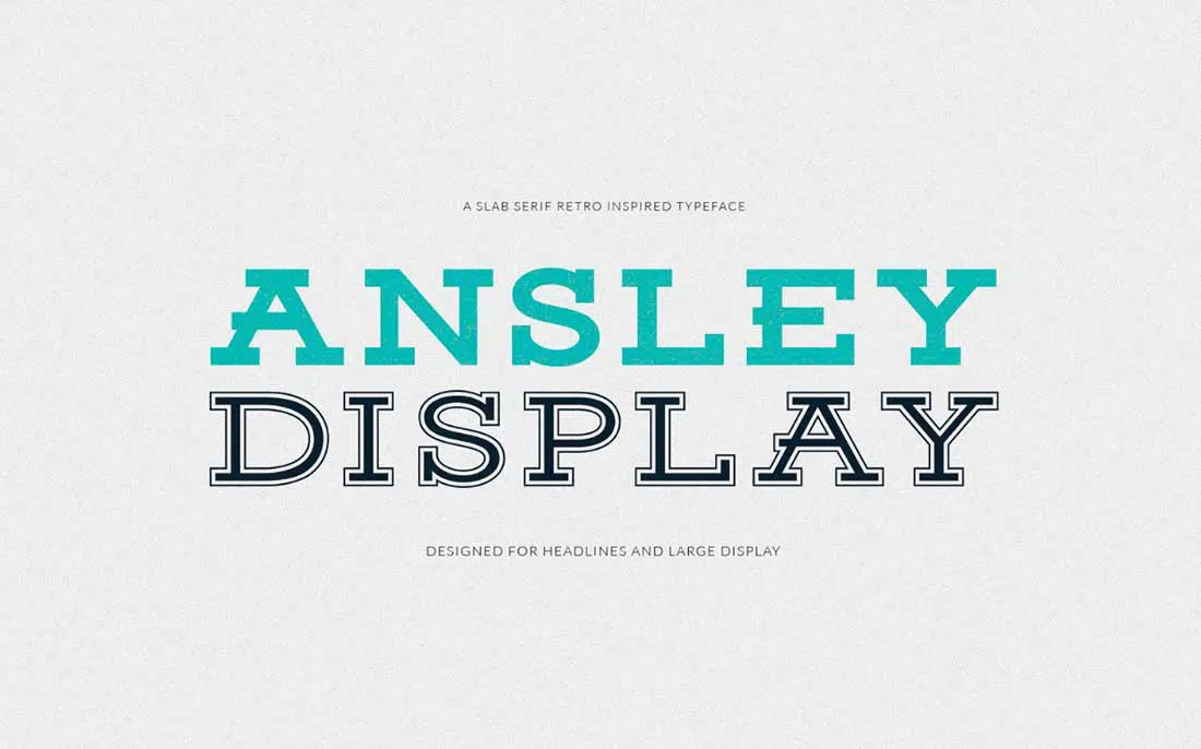 8 Display Ansley