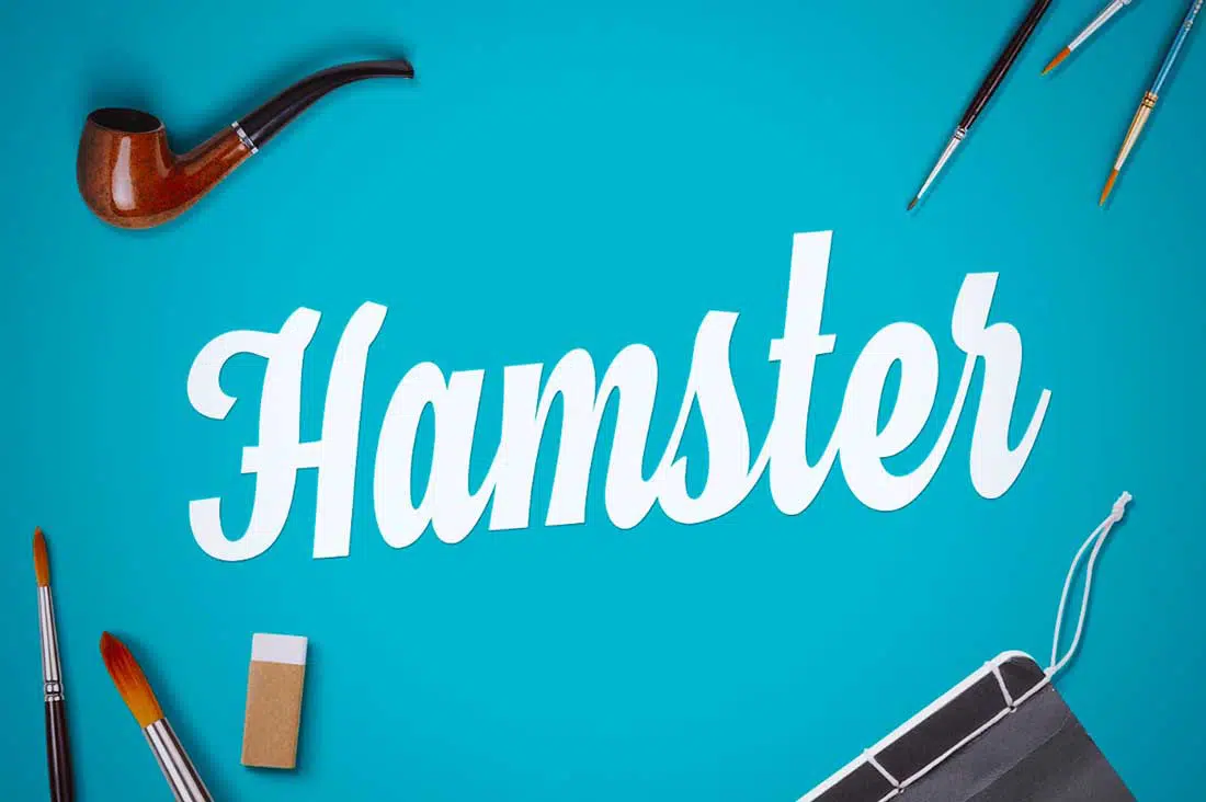 16 Script de hamster