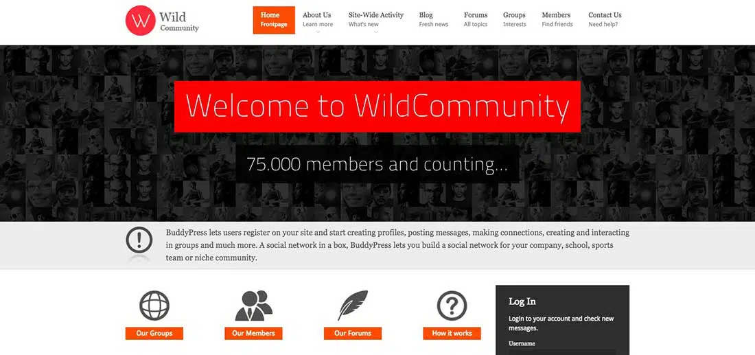 17 Wild Community Dating Theme WordPress