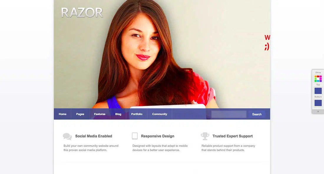 20 Razor Partner WordPress Teması