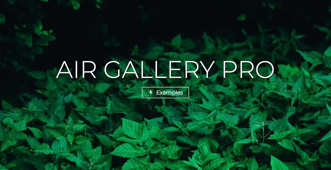 12 Air Gallery Pro - WordPress 갤러리 플러그인