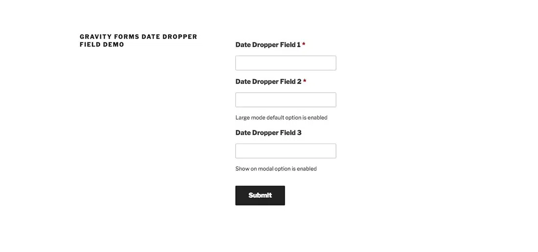 14 Gravity Forms Date Dropper-Feld