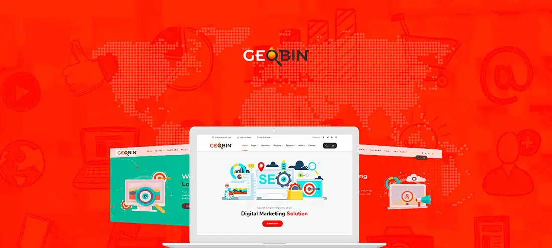 19 GeoBin | Social media, agenzia di marketing digitale, tema WordPress SEO