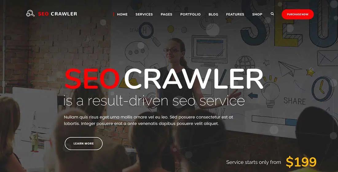 6 SEO Crawler - agencja marketingu cyfrowego, media społecznościowe, motyw SEOWordPress