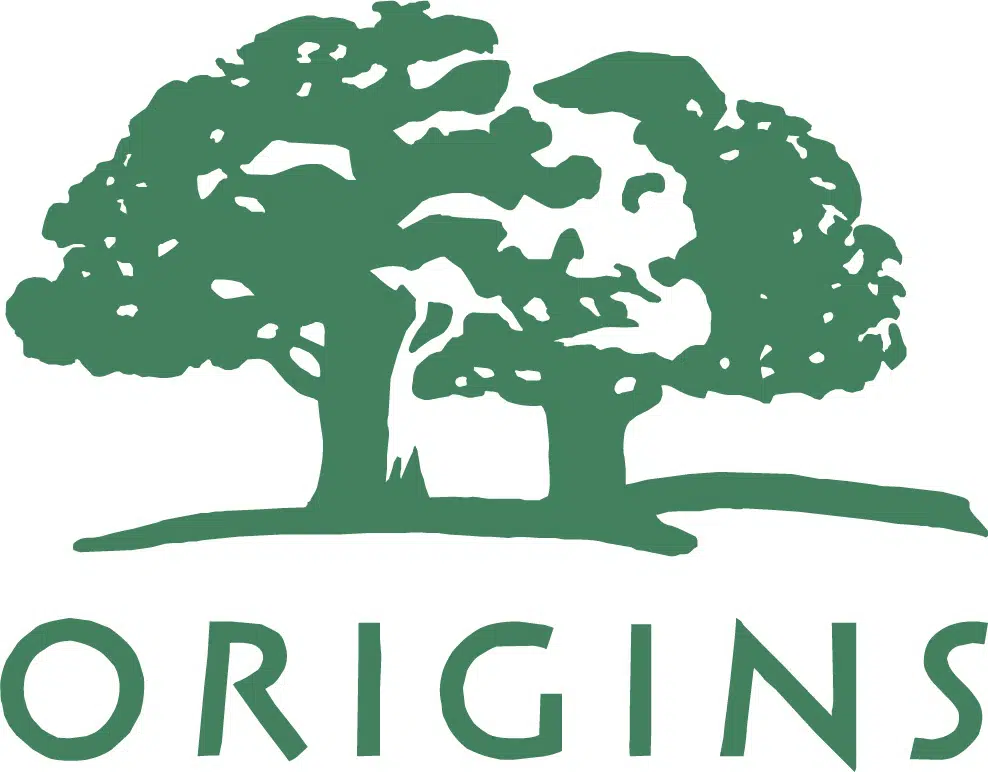 了解形狀在標誌設計中的重要性 - Origins logo