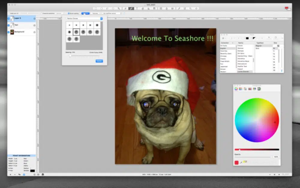 Seashore - Eine weitere Alternative zu Photoshop