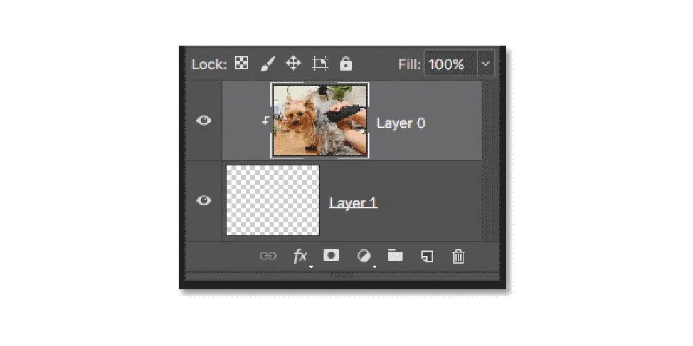 Scegli quale livello ritagliare in Adobe Photoshop