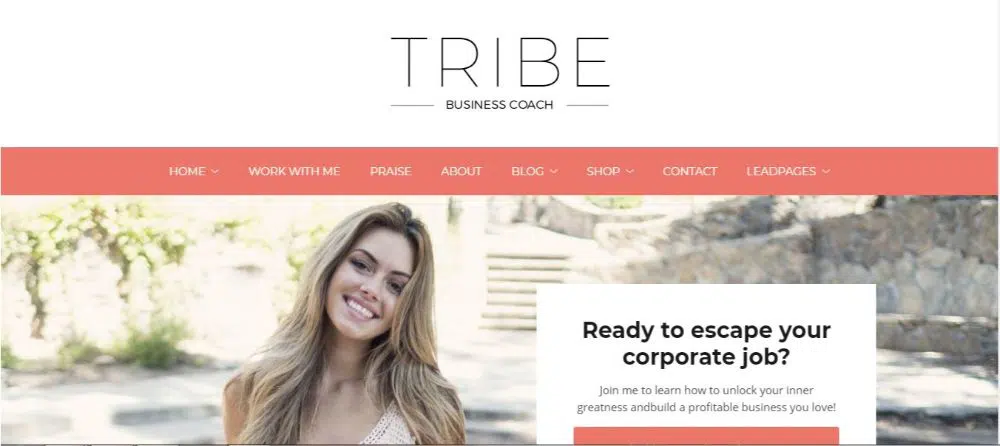 12 โค้ชชีวิตที่น่าทึ่ง WordPress Themes- Tribe