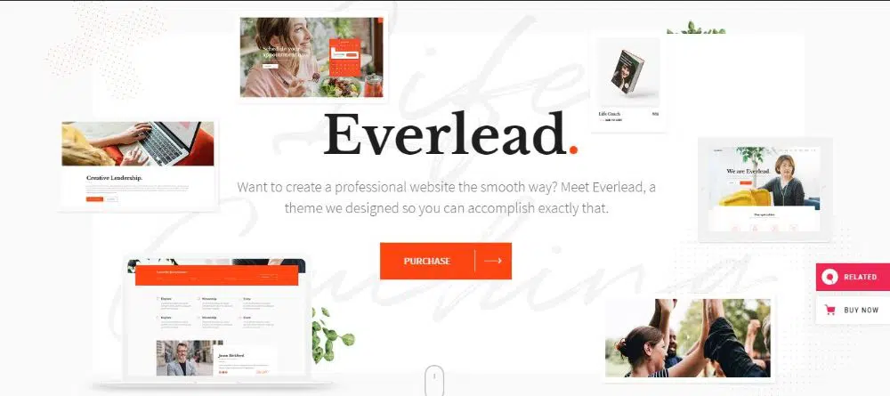 12 Çarpıcı Yaşam Koçu WordPress Temaları - Everlead