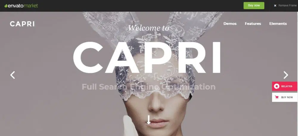 20 Tema & Template WordPress Feminin- Capri