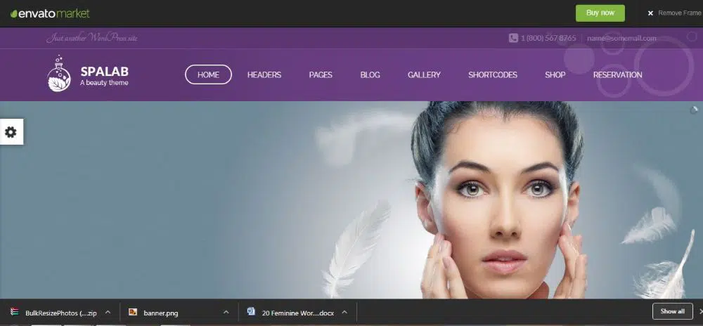 20 Tema & Template WordPress Feminin- Lab Spa