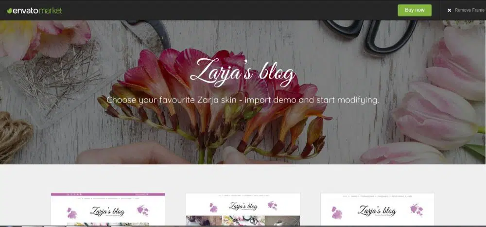 20 Tema & Template WordPress Feminin- Zarja