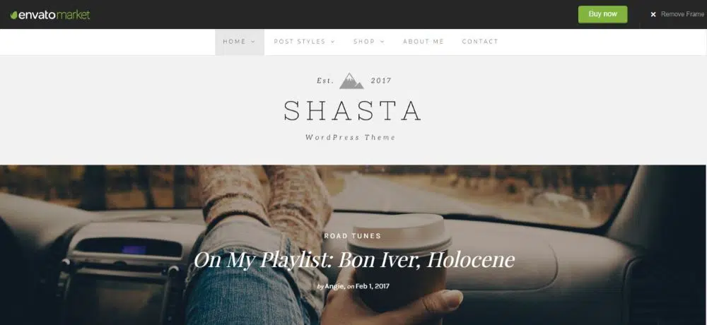 20 个女性 WordPress 主题和模板-Shasta