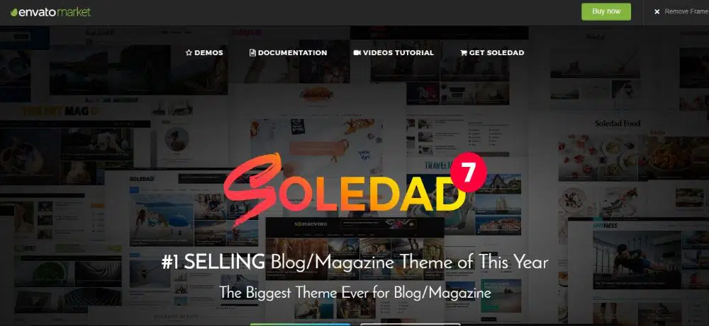 18 个最佳极简主义 WordPress 主题-Soledad