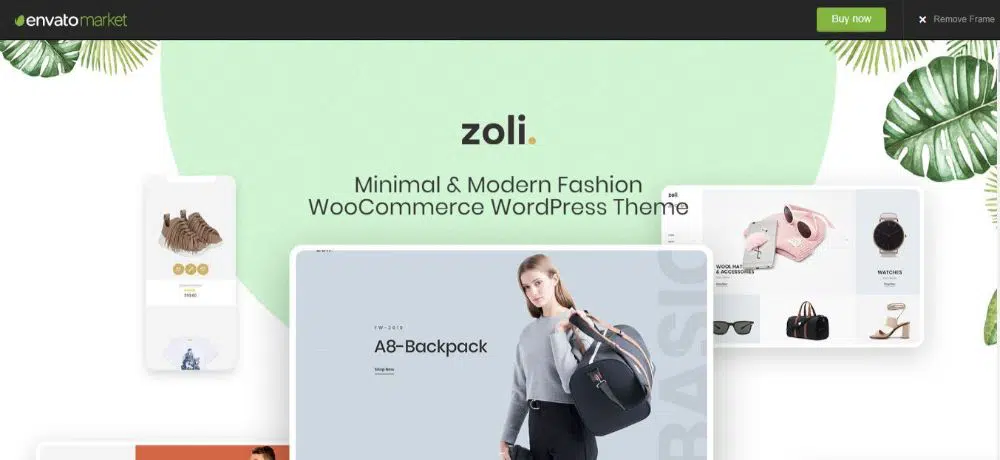 18 En İyi Minimalist WordPress Teması- Zoli