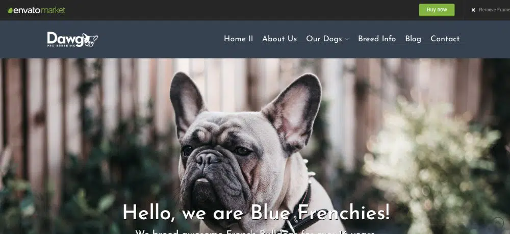 Untergeordnetes WordPress-Theme – Dawg