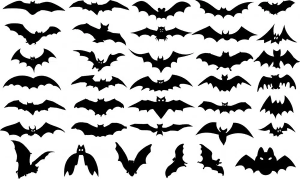 Éléments de conception d'Halloween conception de silhouette d'icônes de chauves-souris Vecteur gratuit