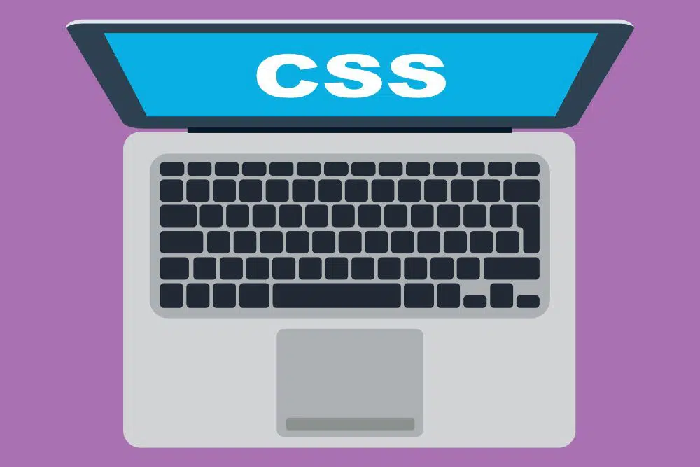 스타일 CSS