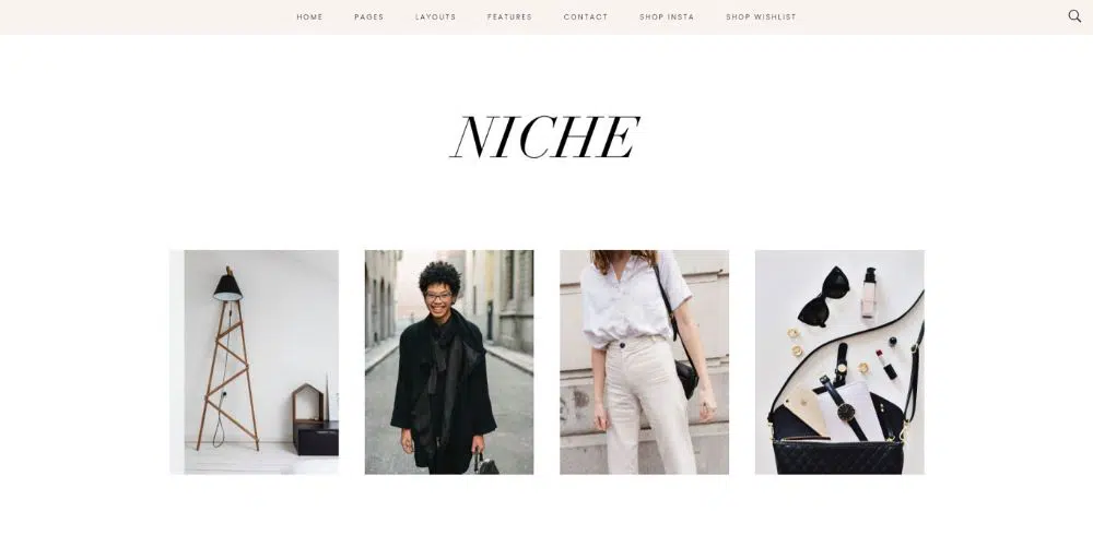 ธีม WordPress สำหรับการตลาดพันธมิตร: Niche