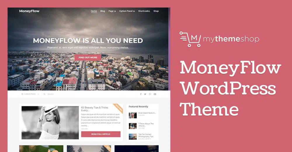 ธีม WordPress สำหรับการตลาดพันธมิตร: Money Flow