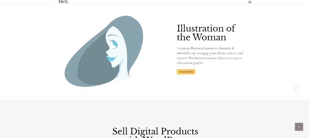 Dijital ürünler satmak için WordPress temaları: Brol