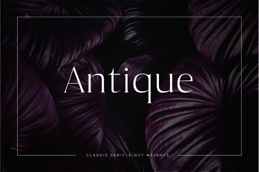 แบบอักษรที่ดีที่สุดสำหรับโบรชัวร์และใบปลิว: Antique Luxury