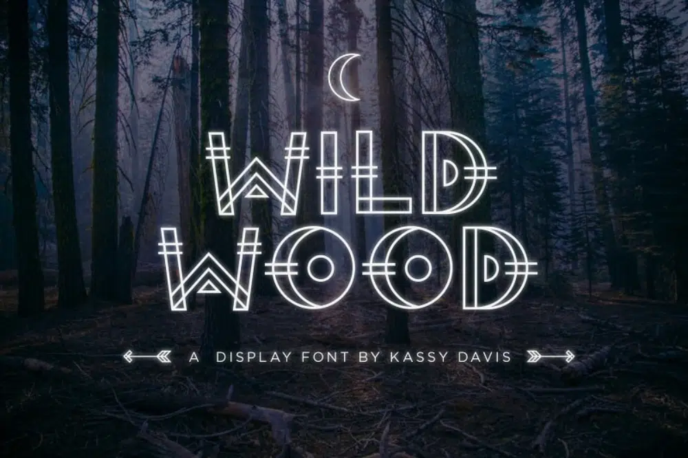 18 种受自然启发的创意字体：Wild Wood Font