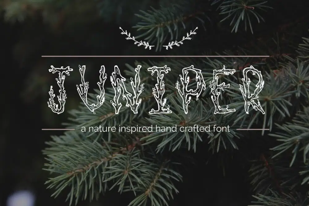 18 fonturi creative inspirate de natură: font Juniper