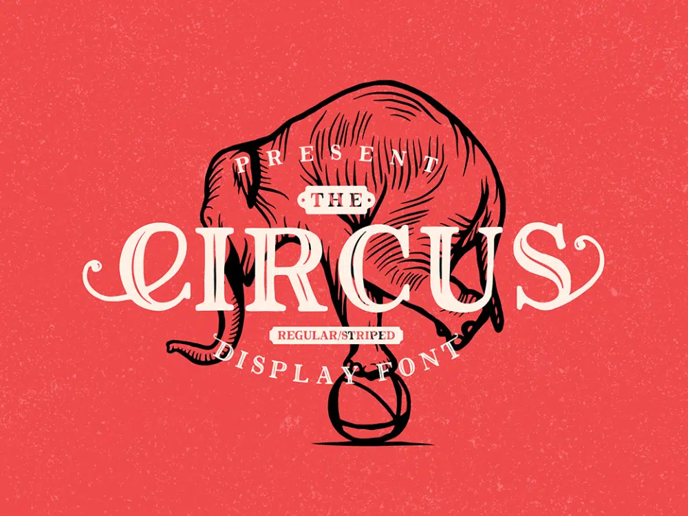 동영상용 무료 시네마틱 글꼴: Circus 글꼴