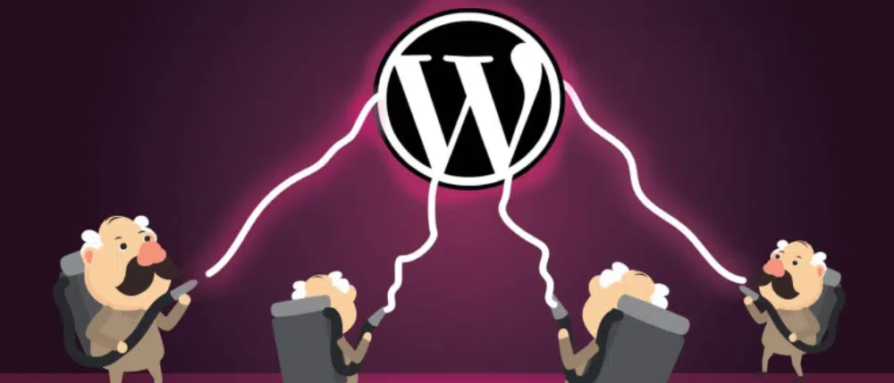 Lucruri pe care nu le știați despre WordPress: WordPress Hack