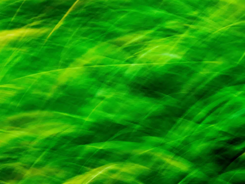 Kostenlose und äußerst nützliche Stofftexturen für Designer: Green Abstract