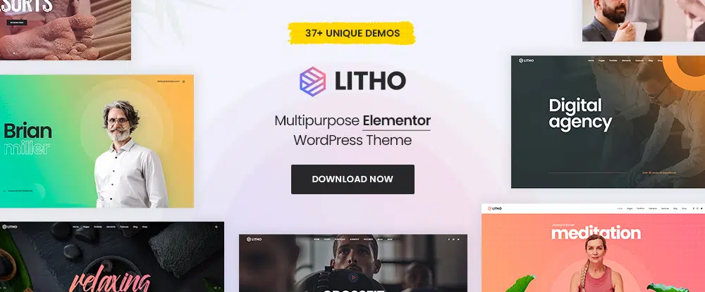 14. Litho – Tema WordPress multiuso Elementor: risorse per i web designer per migliorare il flusso di lavoro