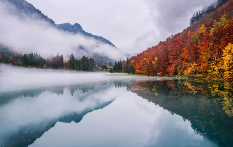 Celebre la belleza del otoño con estas 10 colecciones de fotos 5