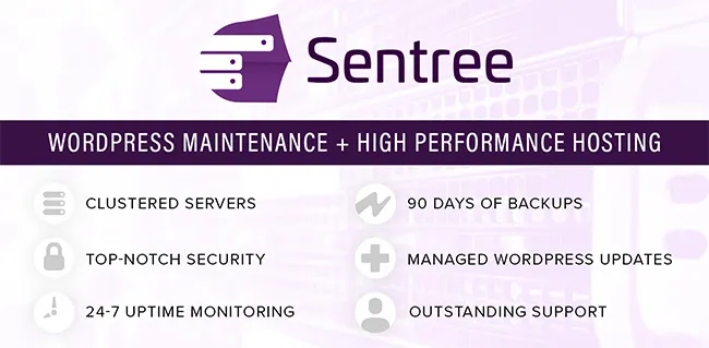 Sentree Managed Hosting with WordPress Maintenance