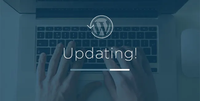 Failing to Update WordPress Regularly