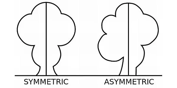 Symmetrical and Asymmetrical balance