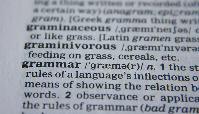 A dictionary entry of the word 'grammar'